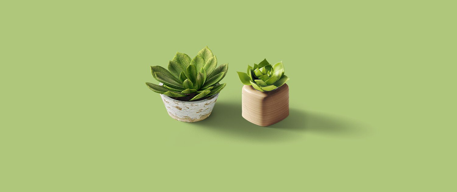 Two potted plants sitting on top of a green table.